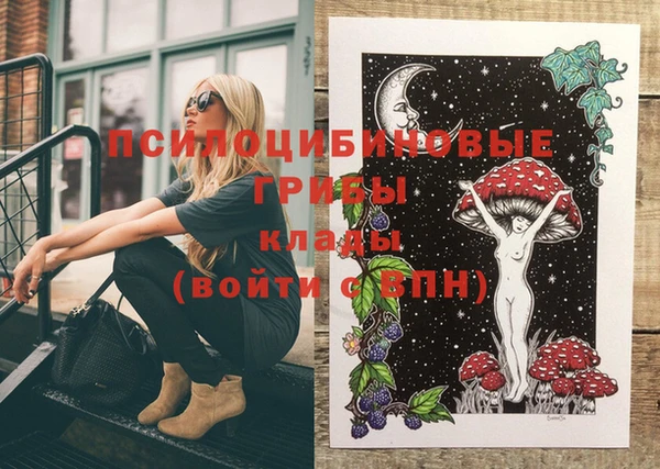 ALPHA PVP Магадан