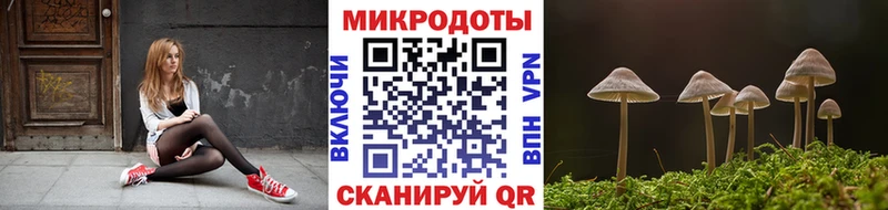 Купить закладки  Арзамас  Галлюциногенные грибы GOLDEN TEACHER 